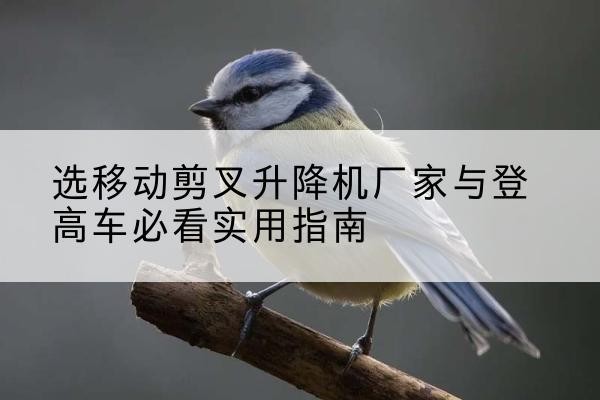 下花园电动升降机厂家-选移动剪叉升降机厂家与登高车必看实用指南