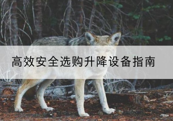 下花园升降货梯厂家推荐-*安全选购升降设备指南